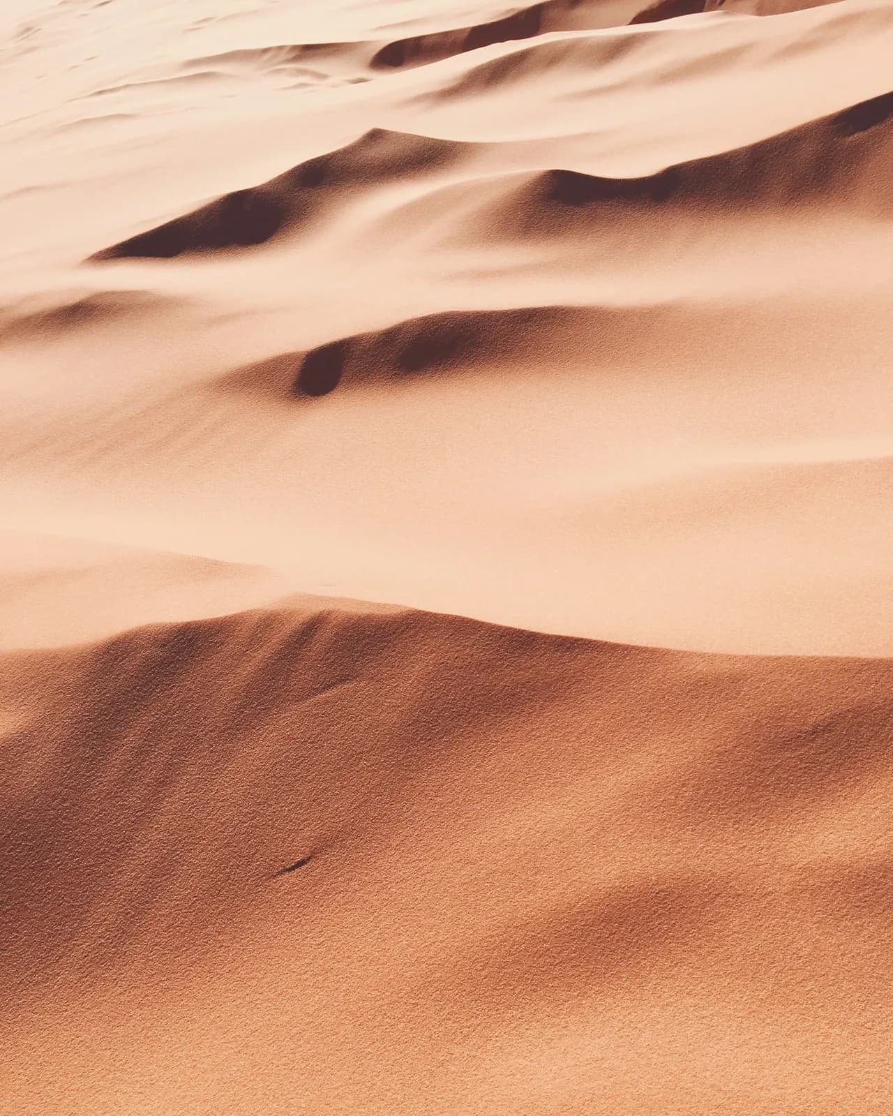 مغامرات شاهداغ الجبلية