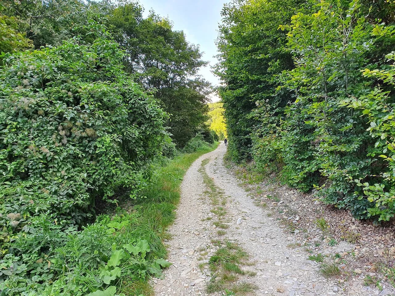 براغ – فيينا